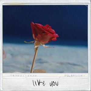 Like You (Explicit)