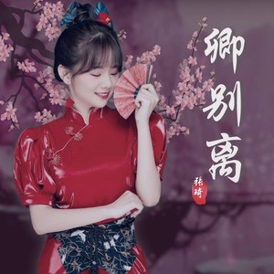 卿别离 (DJheap九天版)