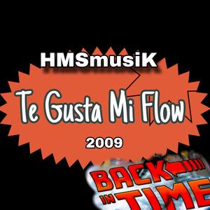 Te Gusta Mi Flow