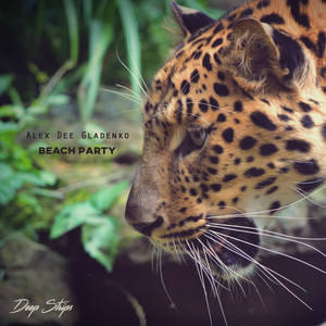Beach Party (Original Mix)