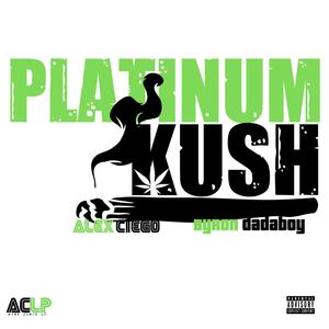 Platinum Kush (feat. Byron DadaBoy) (Explicit)