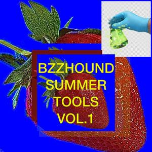 BZZHOUND SUMMER TOOLS VOL.1 (Explicit)