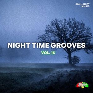 Night Time Grooves, Vol. 15