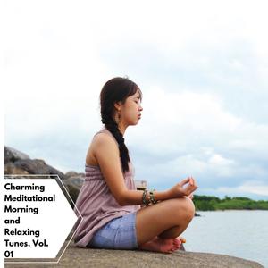 Charming Meditational Morning And Relaxing Tunes, Vol. 01
