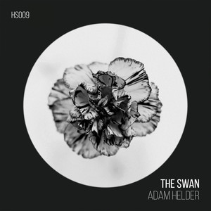 The Swan (Original Mix)