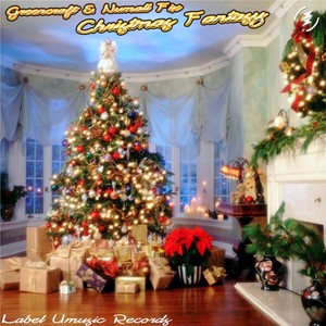 Christmas Fantasy (Original Mix)