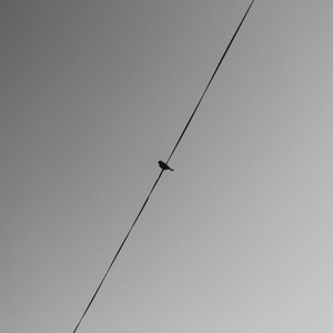 Zzz - Bad Bad Bad (Explicit)