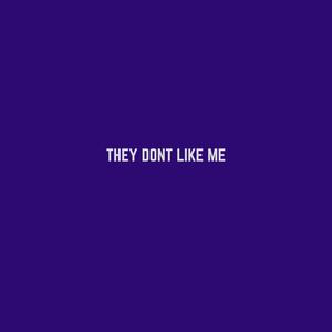 they dont like me (Explicit)