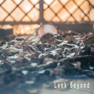 Look Beyond