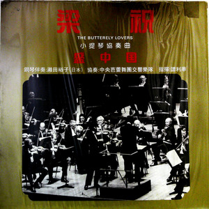 我的祖国 My Motherland (黑胶版)