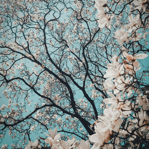 Tere Baad Bhi (Acoustic Version)