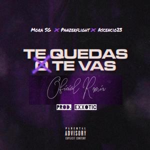 Te Quedas O Te Vas(feat. Panzerflight & Ascencio23) (Remix|Explicit)