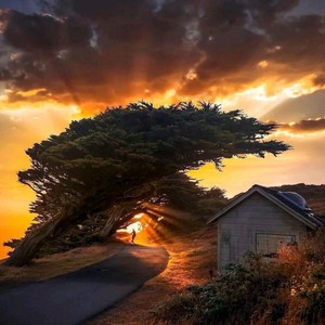 虽然我很喜欢她 (Remix)