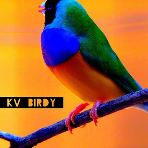 Birdy