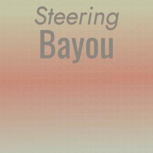 Steering Bayou