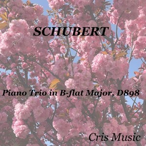 Piano Trio in B-flat Major, D.898 - 3. Scherzo. Allegro. Trio