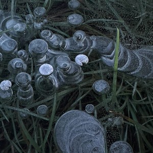 костры на снегу