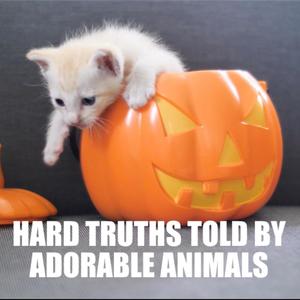 Hard Truths Told By Adorable Animals (Explicit)