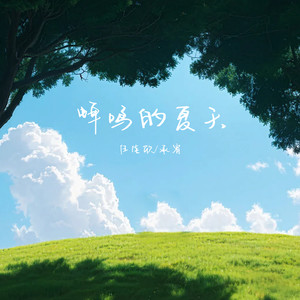 蝉鸣的夏天