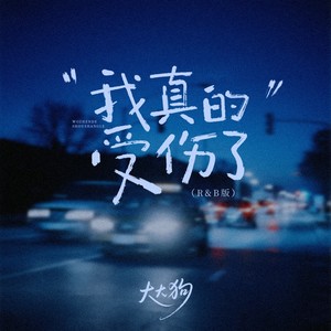 我真的受伤了 (R&B版)