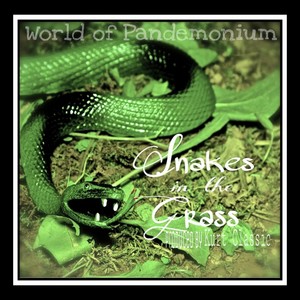 Snakes in the Grass - Single (Explicit)