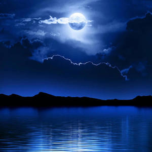 Leray flow (Explicit)