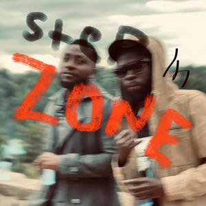 Step In the Zone (feat. Vistawillz)