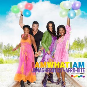 I Am What I Am 2011 (Official Song Of Stockholm Pride 2001 -10 Years Later) (feat. Afro-Dite, Kayo, Gladys Del Pilar & Blossom Tainton)