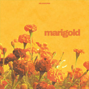 Marigold