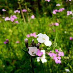 Begging For Forgiveness