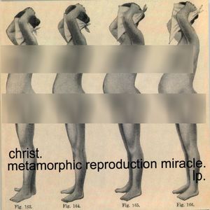 Metamorphic Reproduction Miracle