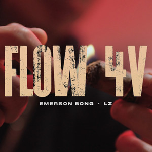 Flow 4V (Explicit)