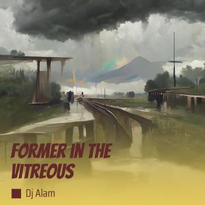 Former in the Vitreous