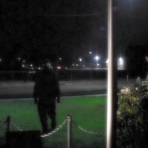 cat soup - psychopomp