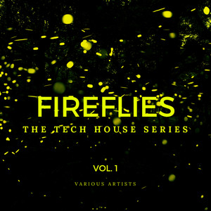 Fireflies (The Tech House Series) , Vol. 1