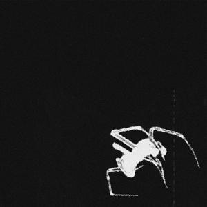 BLOODY SPIT (feat. DEEMXNN) (Explicit)