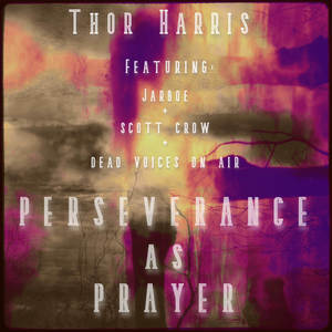 Perseverance as Prayer (scott crow Minimal Beats Mix)