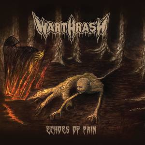 Echoes of Pain (Explicit)