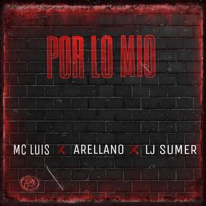 Por lo mio (feat. Arellano & LJ Sumer) [Explicit]