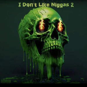 I Dont Like Niggas 2 (Explicit)