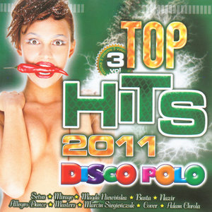 Top Hits 2011 Vol. 3