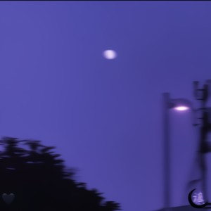 禛汐