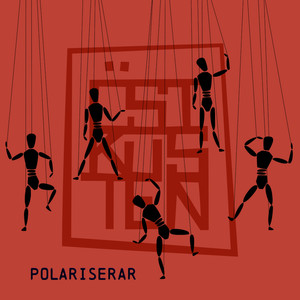 Polariserar