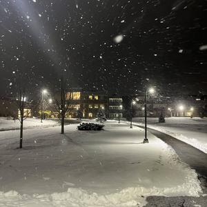 I Missed You Mom, and the Dogs Too