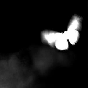 Bomb (feat. lowreiro & etmnx) (Explicit)