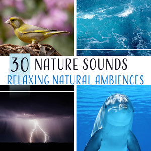 30 Nature Sounds – Pure Relaxing Natural Ambiences, Effects of Gentle White Noises, Zen Therapy Music to Deep Rest