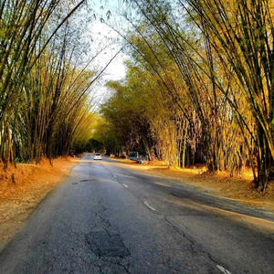 Sound fi dead tonight