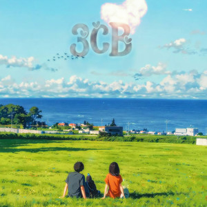 3cb