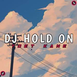 DJ HOLD ON TOET KANE (Ins)