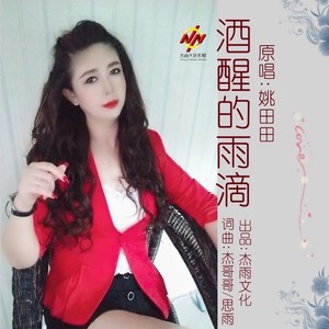 酒醒的雨滴 (dj晓朋)